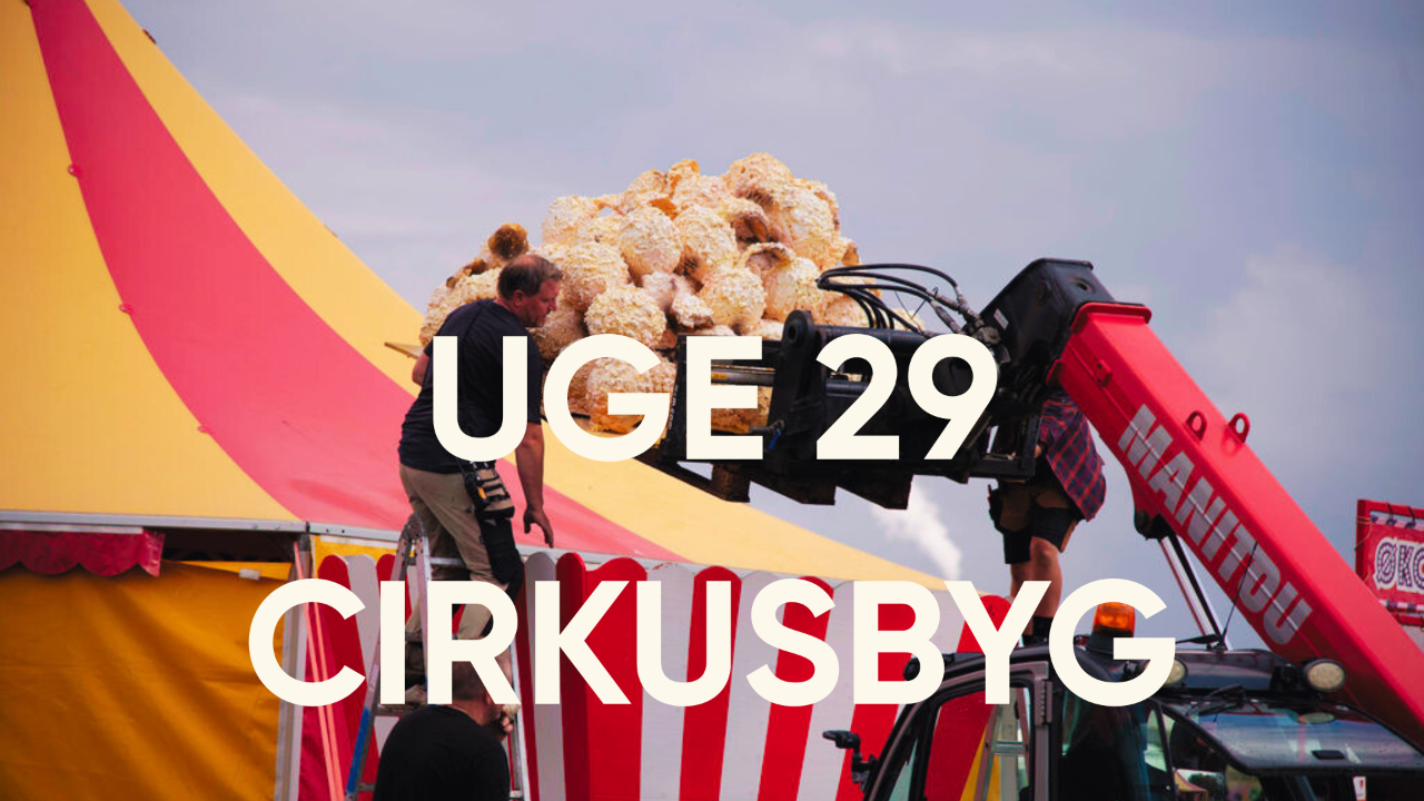 CirkusFlyt - uge 29